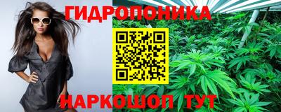 мяу мяу кристалл Кингисепп