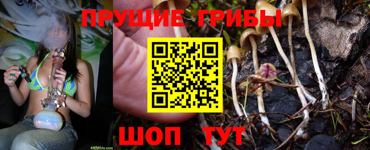 Псилоцибиновые грибы MAGIC MUSHROOMS  Вход с VPN  Бирск 