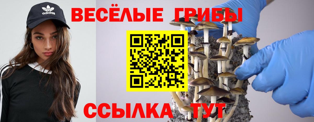 Псилоцибиновые грибы прущие грибы Бирск